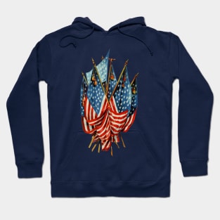 Vintage American Flags Hoodie